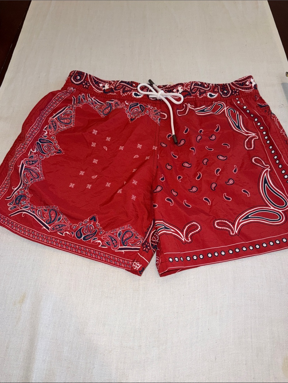 Etro Men Printed Swimming Shorts Italian